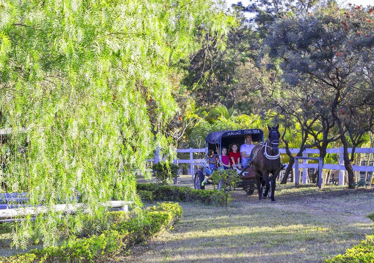 Brotas Eco Hotel Fazenda Extérieur photo
